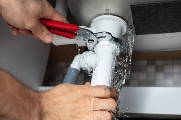 Best Flood restoration services  in Orida Ridge, FL