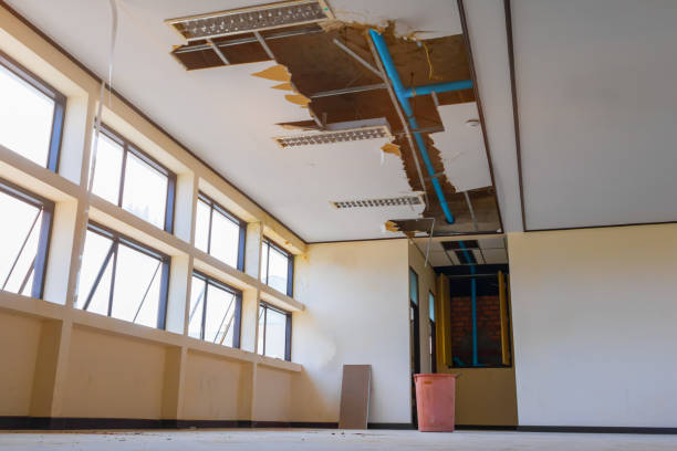 Best Ceiling water damage repair  in Orida Ridge, FL