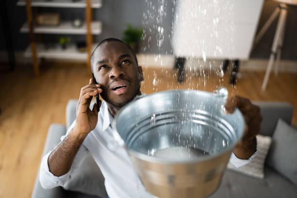 Best Water damage cleanup near me  in Orida Ridge, FL