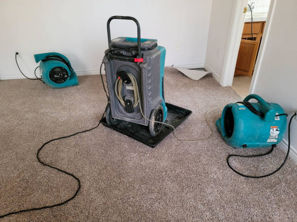 Best Water damage restoration insurance claims  in Orida Ridge, FL