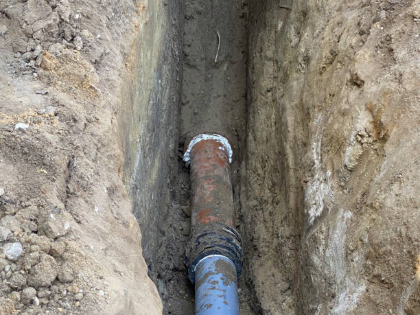 Best Flood damage cleanup  in Orida Ridge, FL