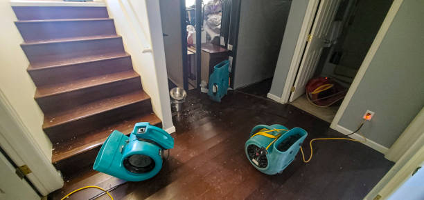  Orida Ridge, FL Water damage restoration Pros