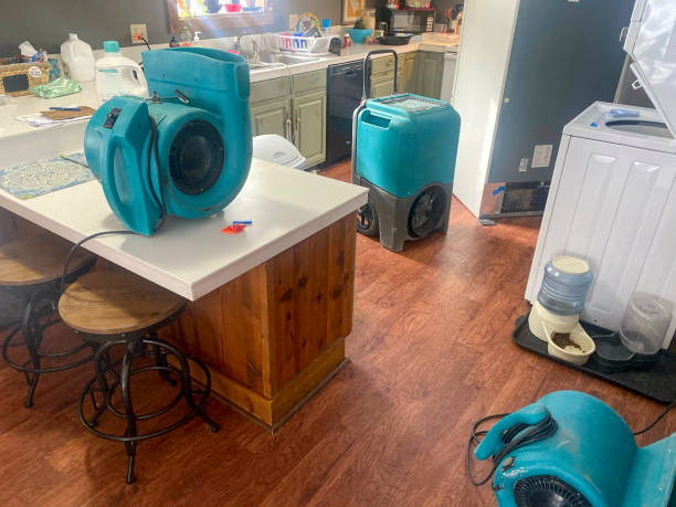 Carpet water damage restoration in Florida Ridge, FL