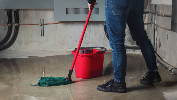 Best Sewage cleanup and water damage restoration  in Orida Ridge, FL