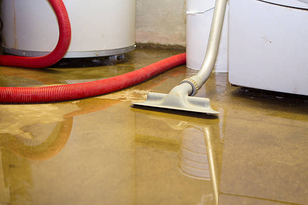 Best Sewage cleanup and water damage restoration  in Orida Ridge, FL