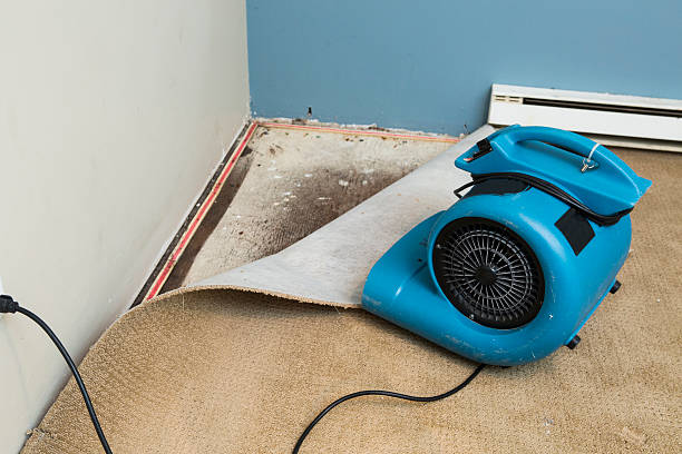 Best Commercial water damage restoration  in Orida Ridge, FL